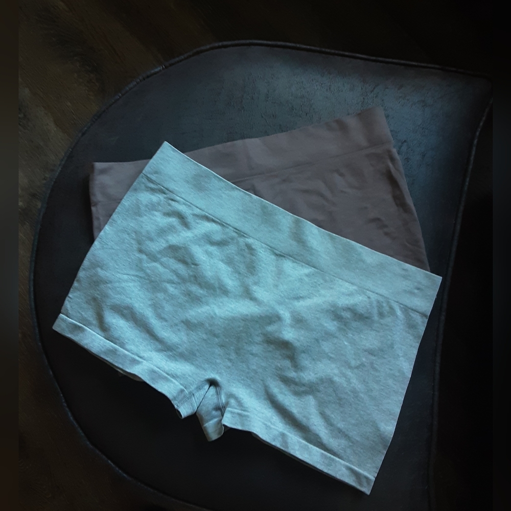 TWO PAIR ANY BODY BOY SHORT PANTIES 1X